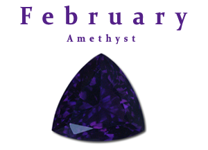 February-Birthstone-for-the.png